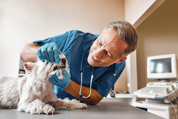 Best Emergency Treatment for Dental Infections or Abscesses in Falling Water, TN